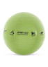Prism Stability Ball