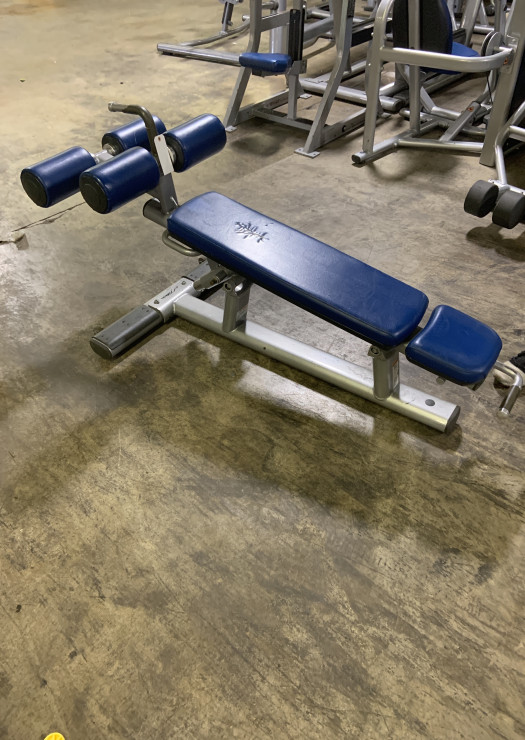 Adjustable Benches | Free Weights | Gym Equipment | Carolina Fitness ...