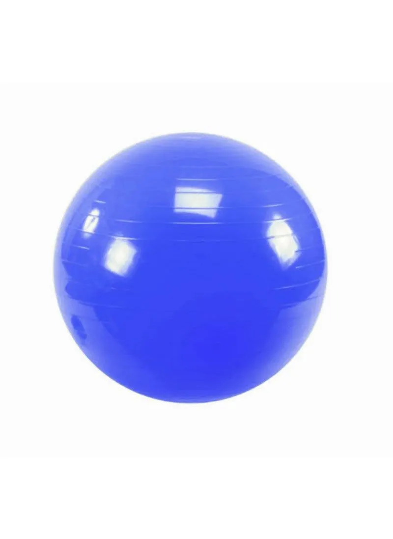 Strencor Anti-Burst Stability Ball | Build Stability | Carolina Fitness Equipment